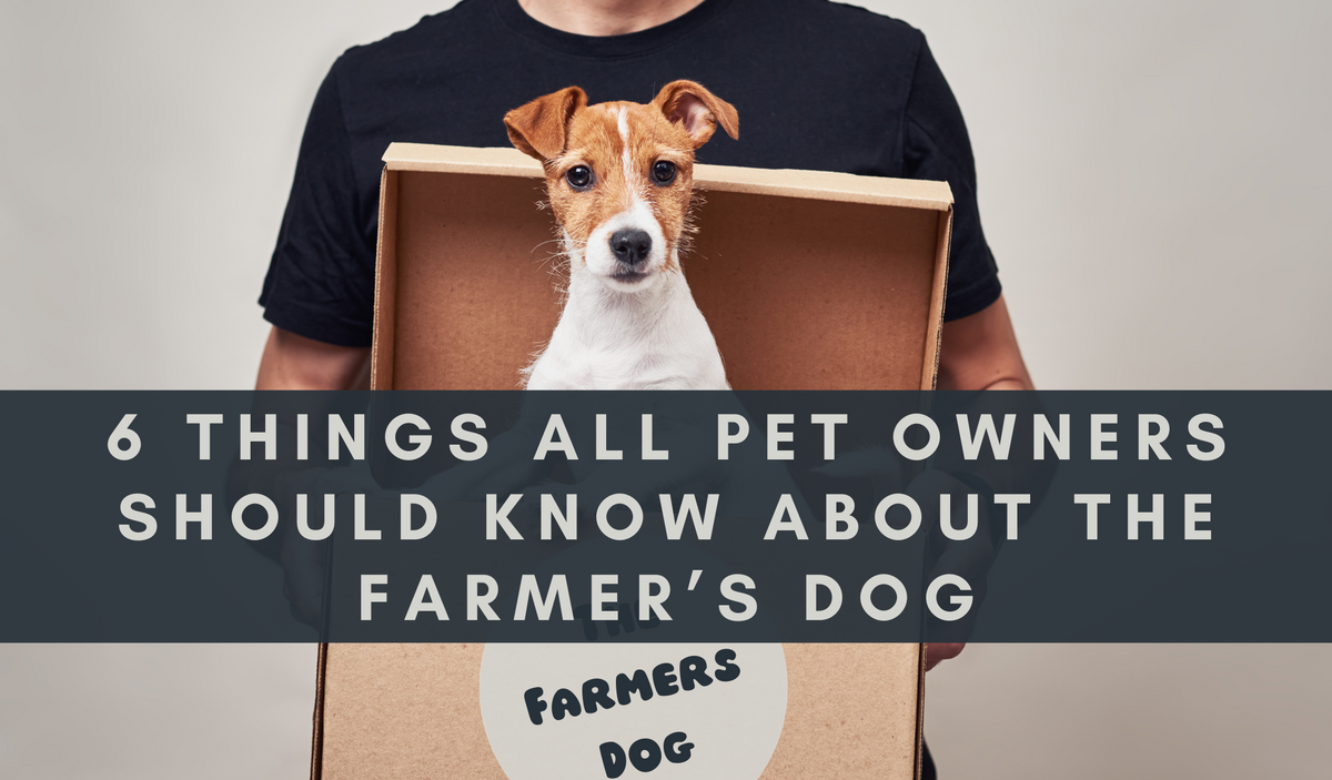 6 Things All Pet Owners Should Know About the Farmer s Dog KetoNatural Pet Foods