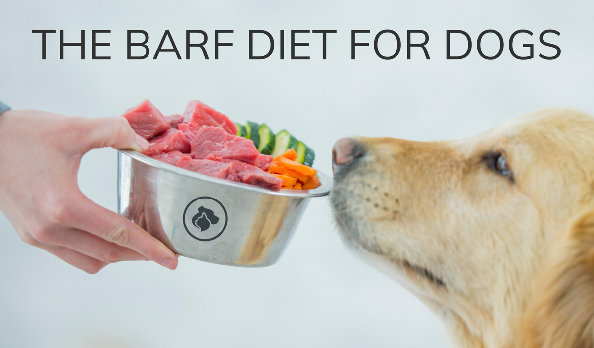Barf dog food diet clearance