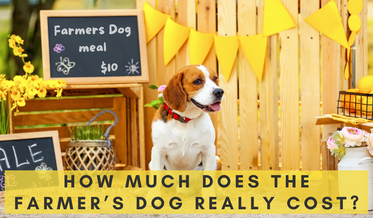 How Much Does The Farmer s Dog Really Cost KetoNatural Pet Foods