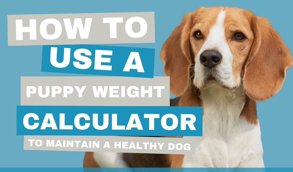 articles/how-to-use-puppy-weight-calculator.png