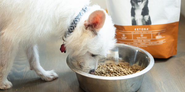 5 Things Every Pet Owner Should Know About Carbohydrates