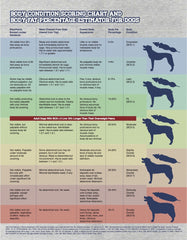 How Do You Know If Your Dog is Overweight?