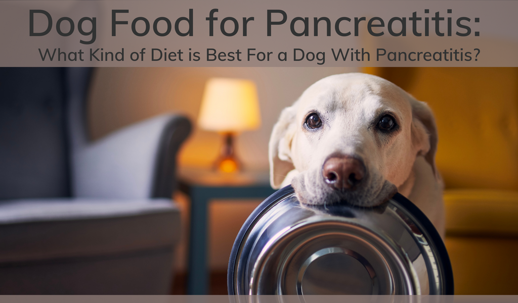 Dog Food for Pancreatitis: What Kind of Diet is Best For a Dog With Pancreatitis?
