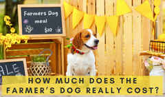 How Much Does The Farmer’s Dog Really Cost?
