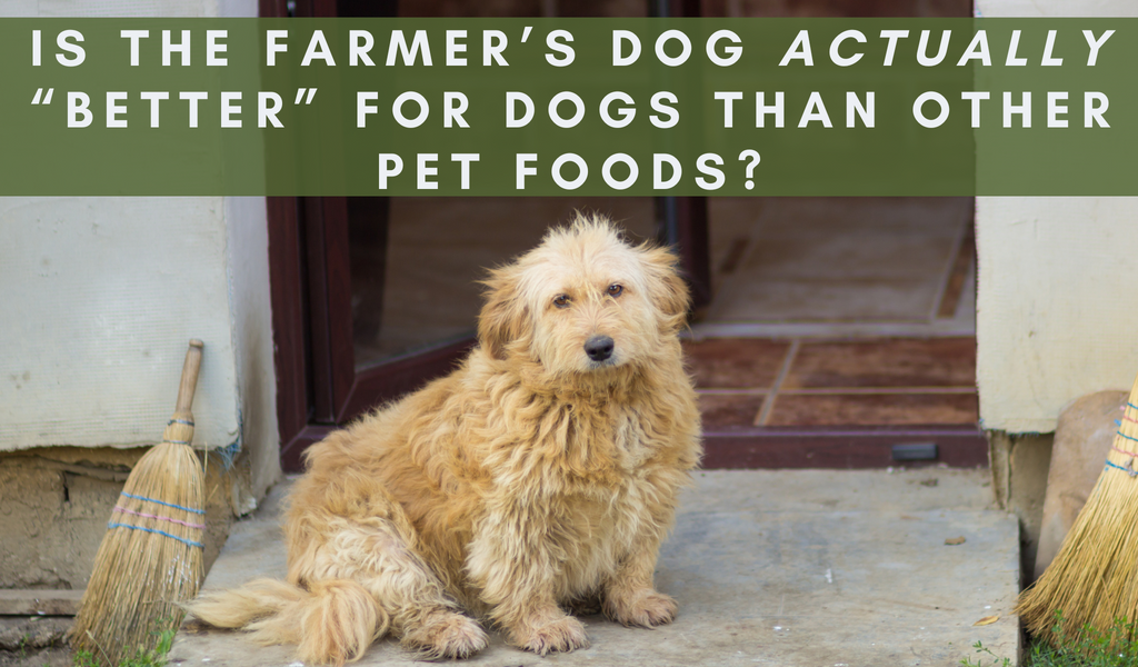 Is The Farmer’s Dog Actually “Better” For Dogs Than Other Pet Foods?