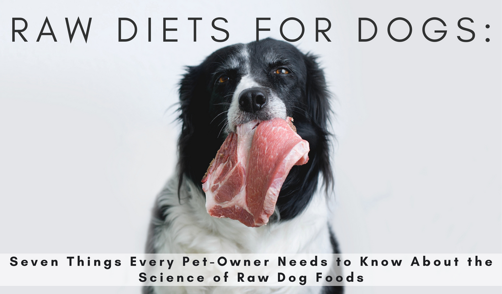 Raw Diets For Dogs: Seven Things Every Pet-Owner Needs to Know About the Science of Raw Dog Foods