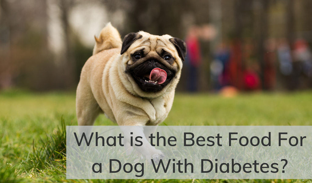 Best non prescription sales diabetic dog food