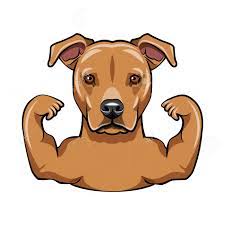 Strength Training For Dogs - Principles & Exercises That We Can All Do